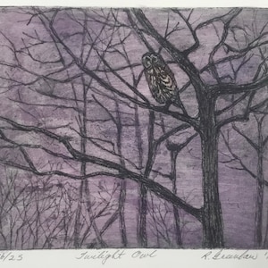 Streifenkauz Radierung Violett Kunstdruck