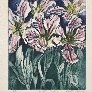 Parrot Tulips