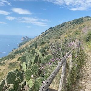 Torca Italy Coastal Path Wall Art