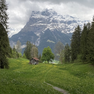 Grindelwald Switzerland Wall Art