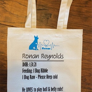 Canvas Bag