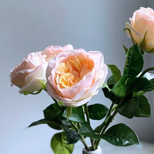 Real Touch Cabbage Rose - David Austin Rose / High Quality Artificial Flower / DIY Floral / Wedding Decoration / Gifts / Light Yellow