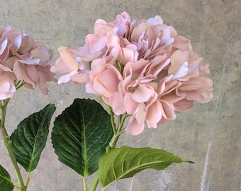 Real Touch Beige Hydrangea Stem - Realistic High Quality Artificial Flower / Bouquet / Home Decoration / Event / Living Room Design / Autumn