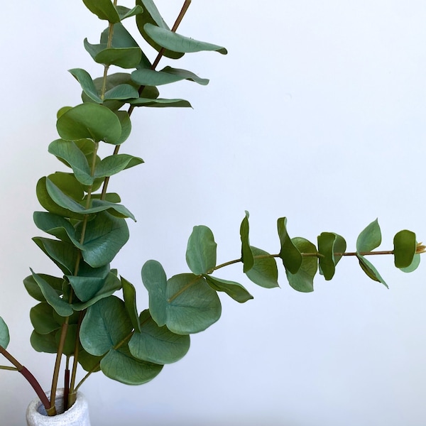 Real Touch Eucalyptus Stem - High Quality Artificial Greenery / Leaf / Wedding / DIY Floral / Home decoration / Gifts / Green