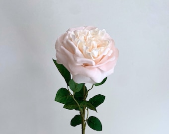 Real Touch Light Pink Cabbage Rose - David Austin Rose / High Quality Artificial Flower / DIY Floral / Wedding Decoration / Gifts / Blush