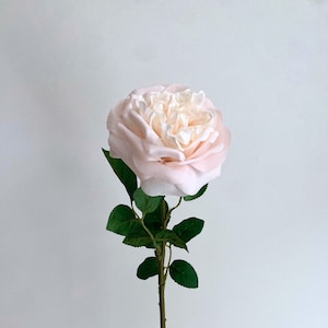 Real Touch Light Pink Cabbage Rose - David Austin Rose / High Quality Artificial Flower / DIY Floral / Wedding Decoration / Gifts / Blush