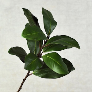 Artificial Real Touch Magnolia Leaf Branch- Faux Greenery / Plant / Wedding / Bouquet / Arrangement / Centerpiece / Home Decor / DIY / Gifts