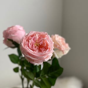 Real Touch Cabbage Rose - David Austin Rose / High Quality Artificial Flower / DIY Floral / Wedding Decoration / Gifts / Pink
