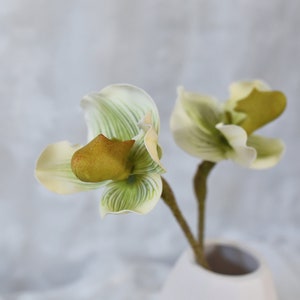 Real Touch Green White Slipper Orchid - Artificial Flower / Wedding / Bouquet / Floral Arrangement / Centerpieces / Home Decor / Gifts / DIY