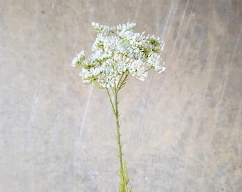 Artificial One Head White Queen Anne Lace Stem - Faux Floral / Bouquet / Wedding / Flower Arrangement / Home Decoration / Wildflowers / Vase