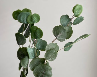 May include: A sprig of eucalyptus with green leaves, perfect for adding a touch of nature to your home decor.
