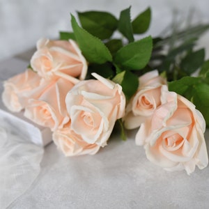 Real Touch Champagne Peach Rose Stem - Artificial Flower / Wedding / Bouquet / Home Decoration / Decor / Arrangement / Centerpieces /Gifts