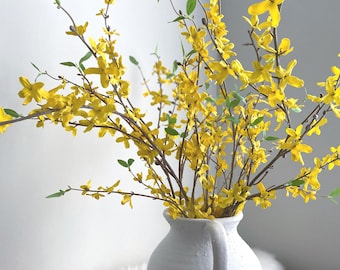 May include: A white ceramic vase with a handle displays a vibrant arrangement of yellow forsythia branches. The flowers are in full bloom, with small green leaves among the bright yellow blossoms. The vase sits on a wooden surface.