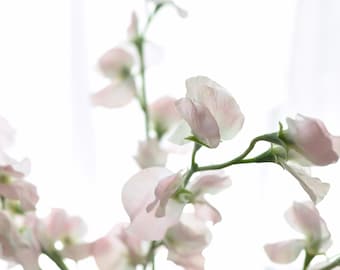 Tallo de flor de guisante de olor rosa claro artificial - Flor artificial de alta calidad / Boda / Ramo / Manualidades / Centro de mesa / Decoración de primavera para el hogar / Regalos