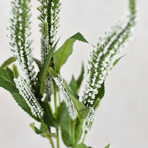 Set di 3 fiori artificiali di salvia bianca - Fiori finti / Matrimonio / Bouquet da sposa / Disposizione / Centrotavola / Fai da te / Decorazione per la casa / Design