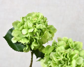 Real Touch Soft Green Hydrangea Stem - Realistic High Quality Artificial Flower / DIY Floral / Wedding / Bouquet / Home Decoration / Gifts