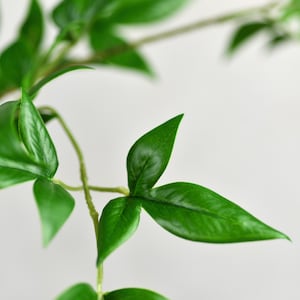 Ramo de folha de nandina verde Real Touch - Flores artificiais de alta qualidade / Verduras / Plantas / Casamento / Decoração de casa / Arranjo / Presentes