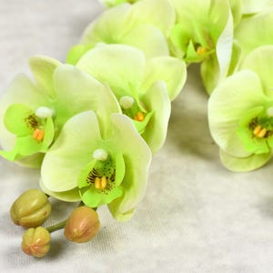 Real Touch 9 Heads Light Green Phalaenopsis Orchid - High Quality Artificial Flower / Wedding / Bouquet / Event / Arrangement / Centerpieces