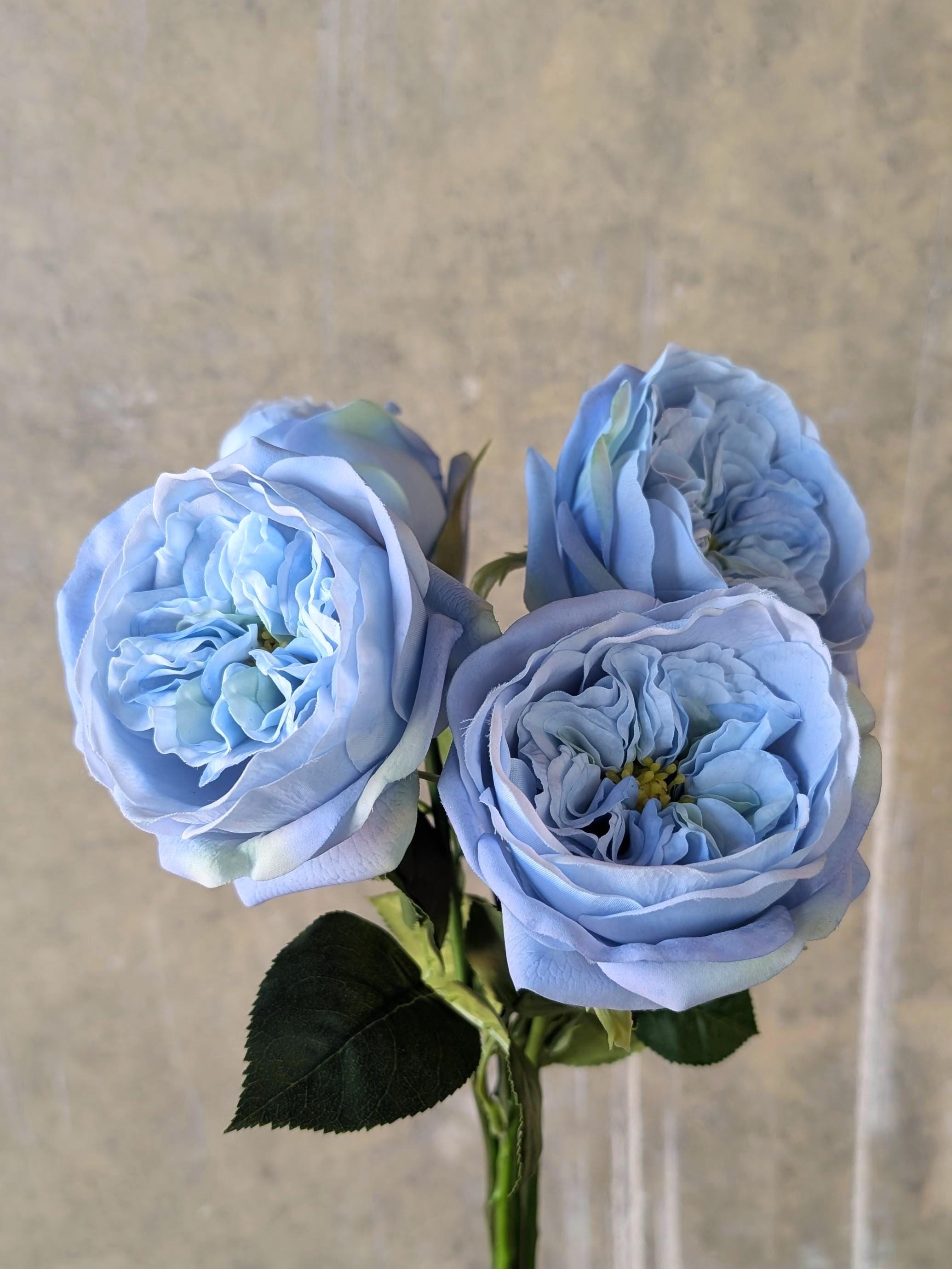 Real Touch Light Blue English Rose - David Austin / Cabbage Rose