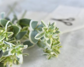 Kunst Schnee auf dem Berg Greenery Blätter - Pflanze / Hochzeit / Blumenstrauß / DIY Blumen / Arrangement / Dekoration / Dekor / Geschenke
