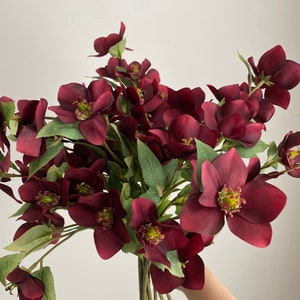 Faux Helleborus Stem -  Artificial Flower / DIY Floral / Wedding / Home Decoration / Gifts / Burgundy