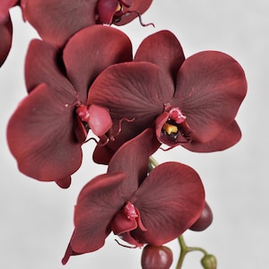 Real Touch 8 Heads Burgundy Red Orchid Stem - High Quality Artificial Flower / Wedding / Floral / Centerpiece / Bouquet/ Home Decor / Gifts