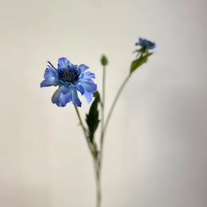 Tallo de flor de escabiosa artificial / Flor artificial de alta calidad / Decoración floral DIY / Boda / Decoración del hogar / Regalos / Azul