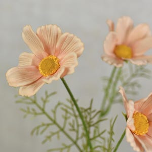 Tige de fleur sauvage cosmos beige havane Real Touch - Fleurs artificielles de haute qualité / Mariage / Bouquet / A faire fleurir / Décoration d'intérieur / Cadeaux