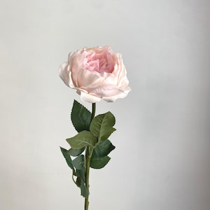 Chou anglais blush Real Touch, tige de rose, rose David Austin, fleur artificielle de haute qualité, fleurs à faire soi-même, mariage, décoration, cadeaux