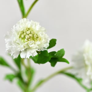 フェイクホワイトスカビオサの花茎 - 造花 / ウェディング / ブライダルブーケ / インテリアデザイン / 彼女へのギフト / アレンジメント / センターピース