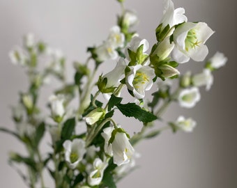 Faux Bellflower Stem - High Quality Artificial Flower / Wedding / DIY Floral / Home Decoration / Gifts / White