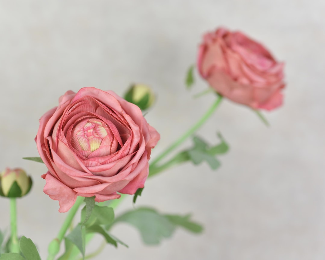 Faux Real Touch Dusty Pink Ranunculus Flower - High Quality Artificial ...