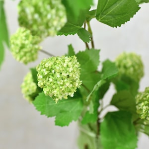 May include: A bouquet of green hydrangea flowers with white centres. The flowers are arranged on a branch with green leaves.