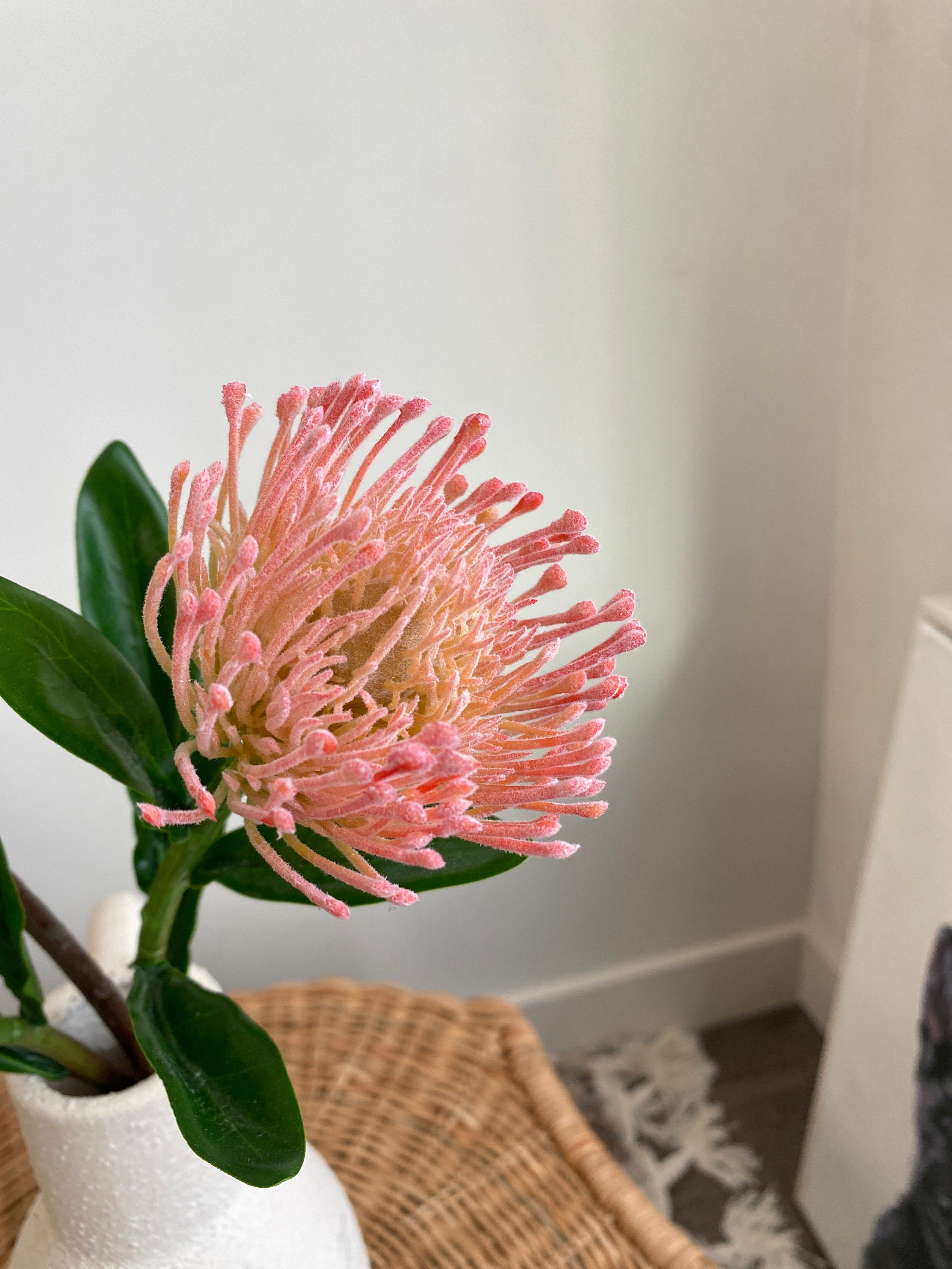 17 Artificial Frosted Coral Pincushion Protea Flower / Etsy