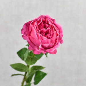 Real Touch Magenta Pink English Rose Stem -  David Austin Garden Rose / Wedding / Bouquet / Event / Flower Arrangement / Design / Home Decor
