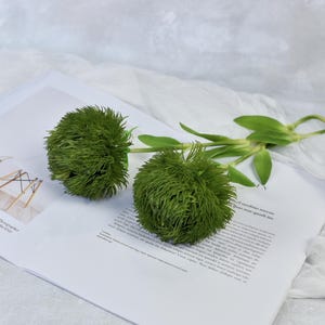 Real Touch Dianthus Green Ball Stem - High Quality Artificial Flower / Plant / Wedding Floral / Bouquet / Greenery / Home Decoration / DIY