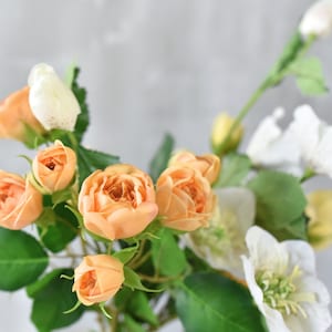 Könnte beinhalten: Nahaufnahme eines Blumenstraußes mit pfirsichfarbenen Rosen, weißen Blüten und grünen Blättern vor einem weichen grauen Hintergrund. Die Rosen sind in voller Blüte, mit zarten Blütenblättern und einem warmen Farbton. Das Arrangement ist eine Mischung aus Texturen und Farben.