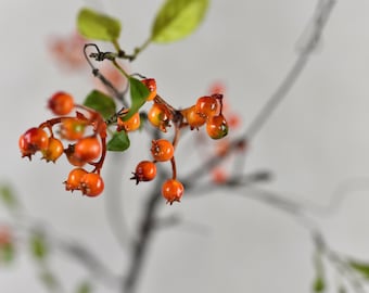 Faux Orange Bittersweet Berry Stem - Artificial Fruits Spray / Wedding / Living Room Decors / Home Decorations / DIY / Gifts / Branches