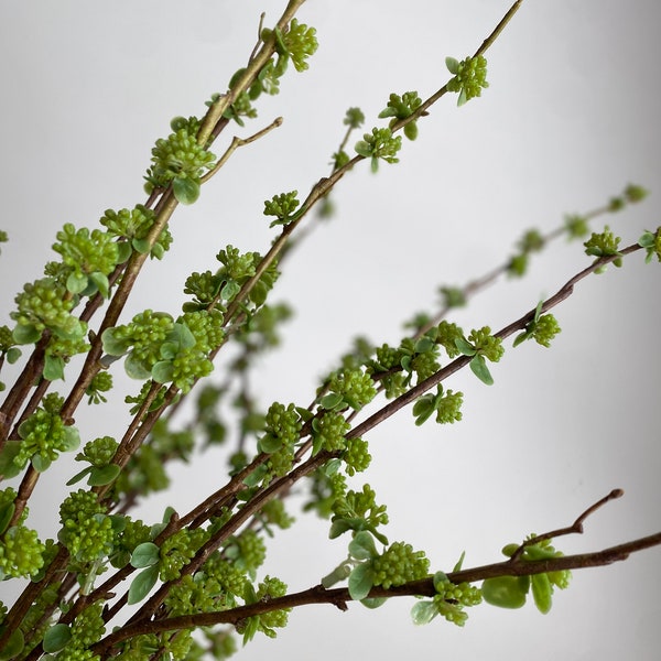 Branch with Green Buds - High Quality Artificial Flowers / Greenery / Wedding / Home Decoration / DIY / Gifts
