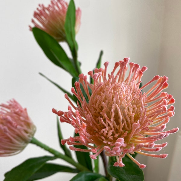 Artificial Pincushion Protea Flower / Wedding / Centerpieces / DIY Floral / Home Decoration / Gifts / Orange / Frosted Coral