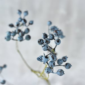 Pode incluir: Um ramo de bagas secas pintadas de azul claro. As bagas estão agrupadas em caules finos.