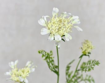 4 Heads Cream White Artificial Queen Anne's Lace Spray - Faux Floral / DIY / Bouquet / Wedding / Flower Arrangement / Home Decoration / Gift