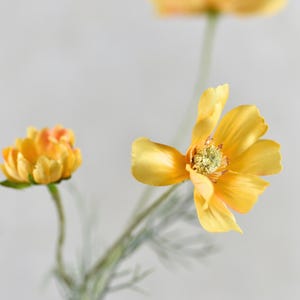 Stelo di cosmos arancione chiaro in seta sintetica - Fiore artificiale di alta qualità / Matrimonio / Bouquet / Evento / Decorazione per la casa / Disposizione / Centrotavola fai da te