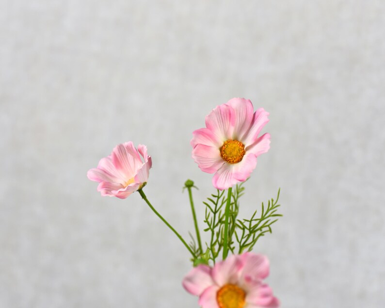 Real Touch Peachy Pink Cosmos Wildflower Stem High Quality Artificial