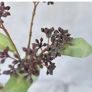 Peut inclure: Une brindille de verdure artificielle avec de petites baies brun foncé et des feuilles vertes.