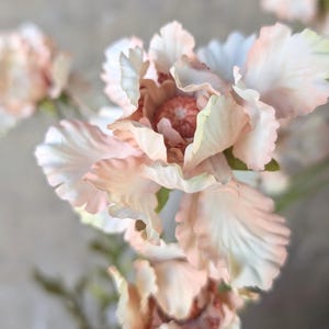 May include: Close-up of delicate, artificial flowers with soft, layered petals. The flowers have a blend of pale pink and white hues, with a touch of green at the base. The centre of the flower has a darker, reddish-brown tone.