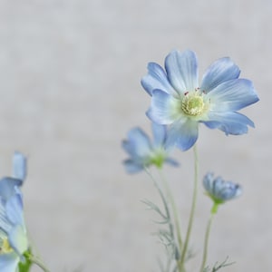 Faux Light Blue Cosmos Spray - Fiore artificiale di alta qualità / Matrimonio / Bouquet / Soggiorno / Design / Decorazione della casa / Artigianato / Vaso