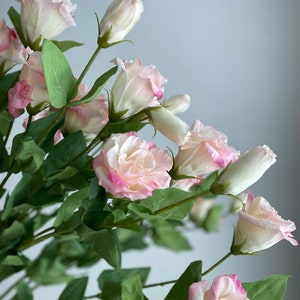 Real Touch Lisianthus Stem - High Quality Artificial Flower / Wedding / DIY Floral / Home Decorations / Gifts / Light Pink / Cream White