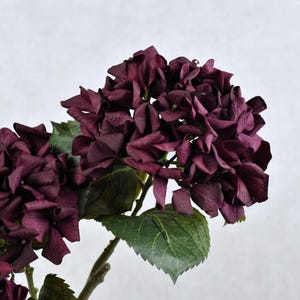 Real Touch Burgundy Hydrangea Stem - Realistic High Quality Artificial Flower / Bouquet / Home Decoration / Event / Living Room Design /Gift
