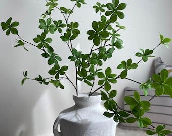 May include: A white ceramic vase with a textured surface and a handle on one side. The vase is filled with a green leafy plant with small, star-shaped leaves.